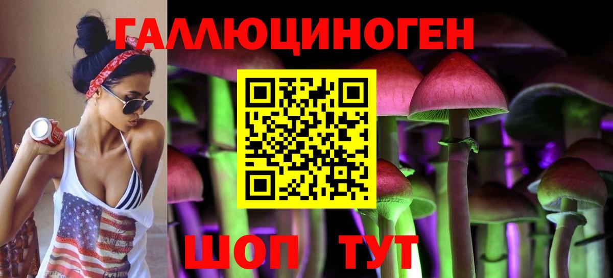 Галлюциногенные грибы Psilocybe Ханты-Мансийск
